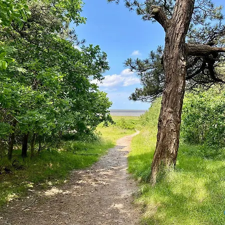 Auszeit Am Wernerwald Im Haus Frauenpreiss 아파트