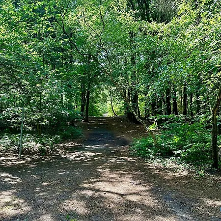 Auszeit Am Wernerwald Im Haus Frauenpreiss